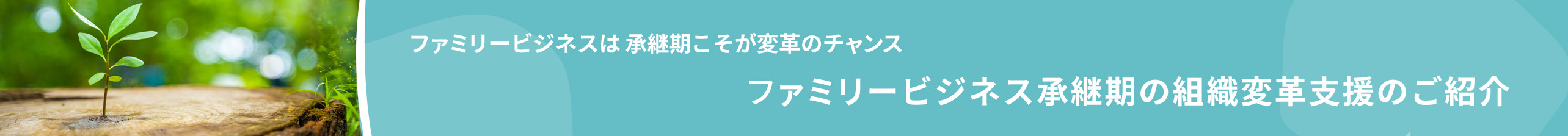 ファミリービジネスは承継期こそが変革のチャンス ファミリービジネス承継期の組織変革支援のご紹介