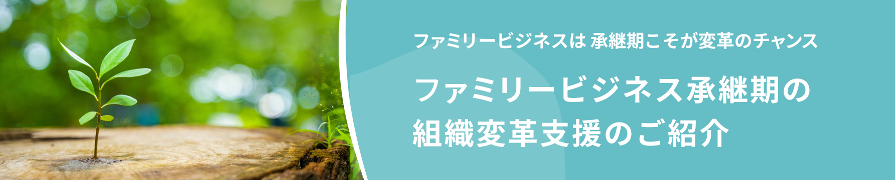 ファミリービジネスは承継期こそが変革のチャンス ファミリービジネス承継期の組織変革支援のご紹介